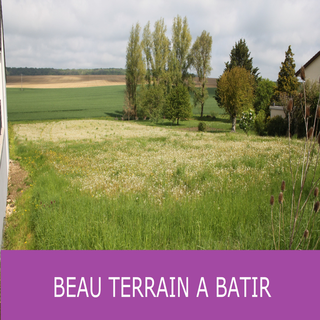 Vente Terrain 2450 M2
